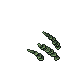 39550