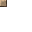 49558