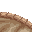 49804