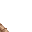 49805