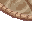 49815