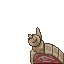49955