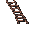 50123