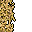 5555