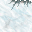 6833