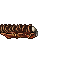 6968