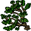 7024