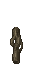 7976