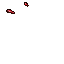 8004