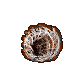 874