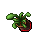 9069