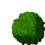9829