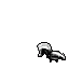 Animated Skunk