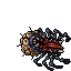 Arachnophobica