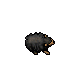 Black Sheep