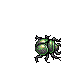 Burrowing Beetle
