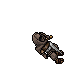 Custodian