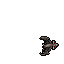 Dawn Bat
