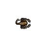 Dawn Scorpion