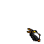 Dire Penguin