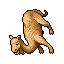 Dromedary