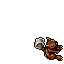 Enraged Squirrel