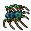 Exotic Cave Spider