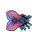 Hibernal Moth