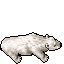 Lovely Polar Bear