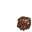 Meandering Mushroom