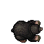 Mole