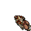 Nomad Female