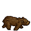 Old Bear