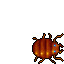 Old Bug