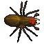 Old Giant Spider