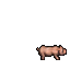 Old Pig