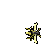 Old Wasp