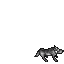 Old Wolf
