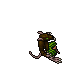 Pirat Scoundrel