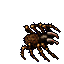 Sacred Spider