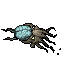 Squid Warden