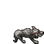 Starving Wolf