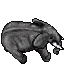 Terrified Elephant