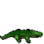 The Snapper