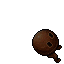 Truffle