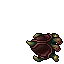 Two-Headed Turtle