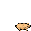 Vampire Pig