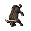 Water Buffalo